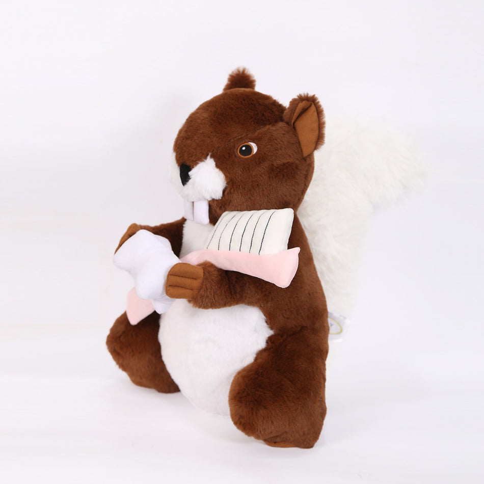 Sunray - Brown Squirrel Tooth Brush Teaching Model