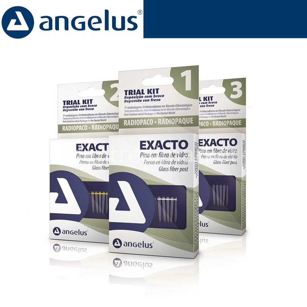 Angelus - Exacto Translucido Fiber Post Refill