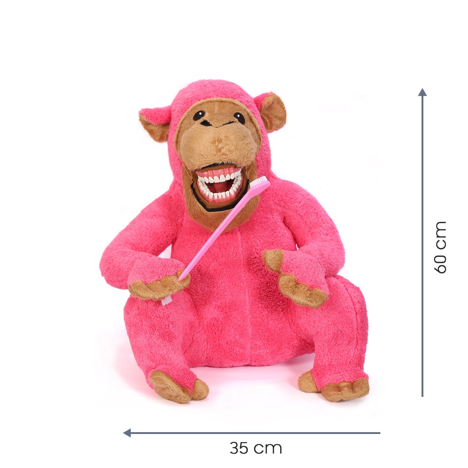 Sunray - Pink Monkey Tooth Brush Teaching Model