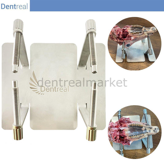 Surgical Training Bench - Surgical Vise - Stainless Steel Surgical Holder