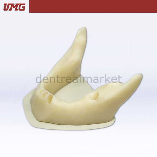 Umg Model Anatomically Shaped Bone Mandible for Implant Placement Application - UM-Z8