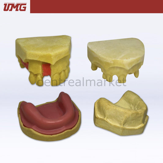 Umg Model Implant Training Model - UM-H7
